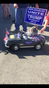 A Furbaby fan of Donald Trump was rollin' around in support of Trump Pence